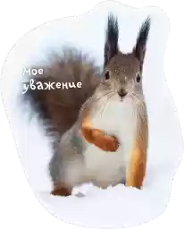 PeterhofBelkaMasha