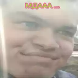 Pipki