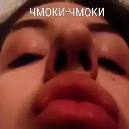 Pipki