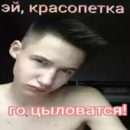 Pipki