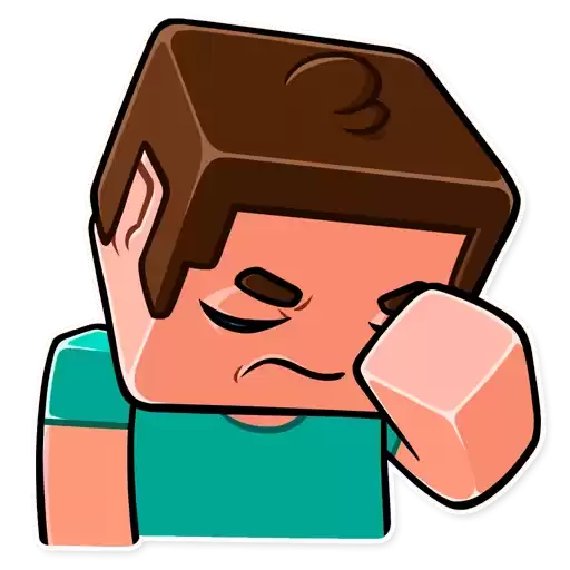PlayMinecraft