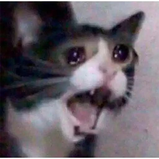 Pussy_Nino