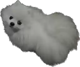 Pyonya
