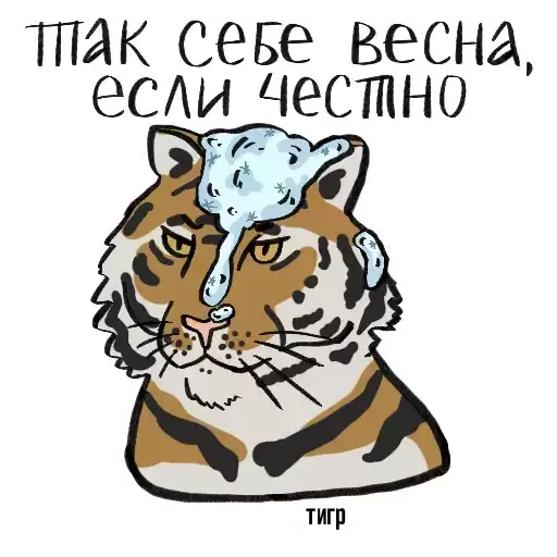 RareCats