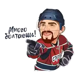 Record_Ovechkina