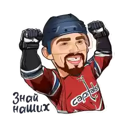 Record_Ovechkina