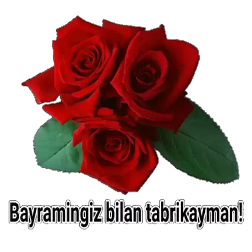 Romantik