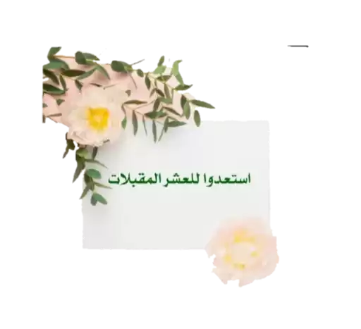 Rose333