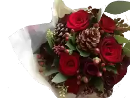 Rosejanah