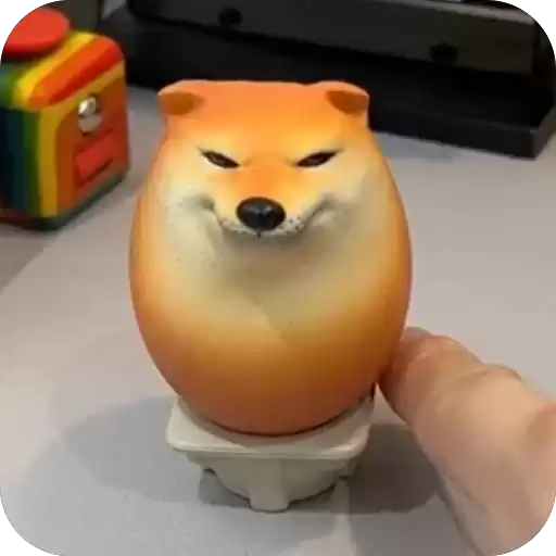 SHIBAKOOO