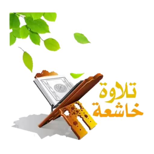 Sadeel123