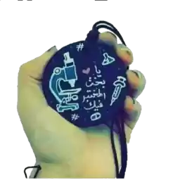 Sadeel2020