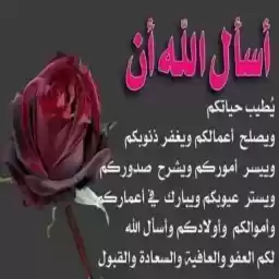Sadeel335