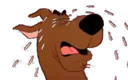 Scoob