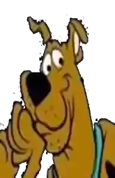 Scoob