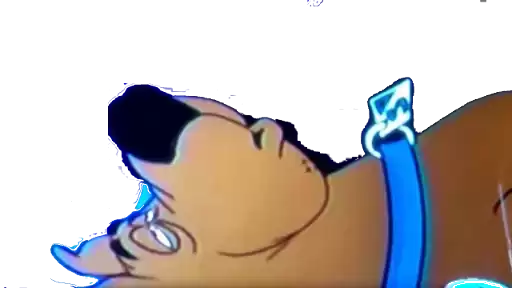 Scoob