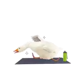 Selectel_DayOff