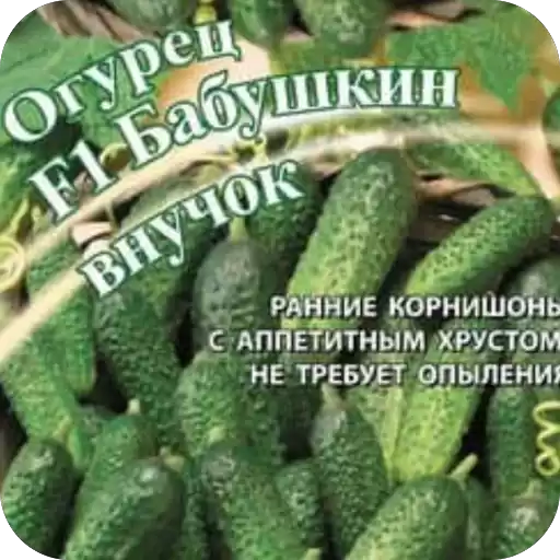 SemenaLyubvi
