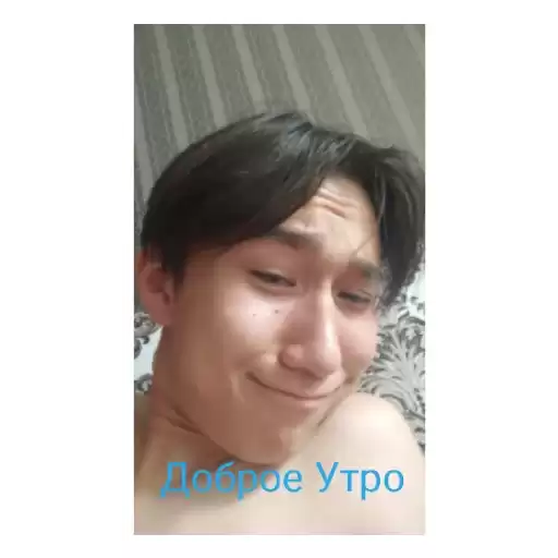 Sexdd