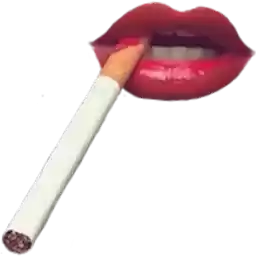 SexySmokers