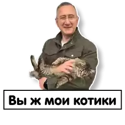Shapsha_VV