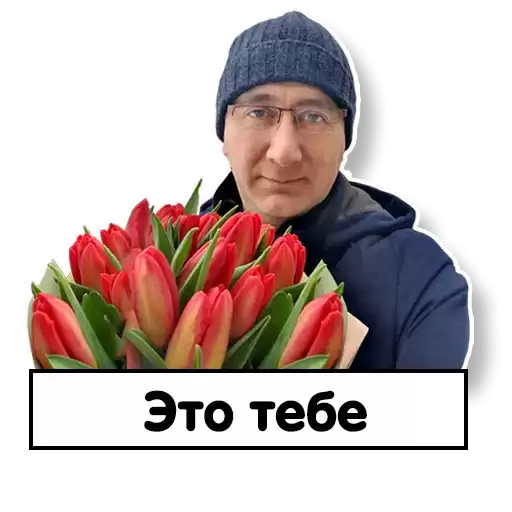 Shapsha_VV