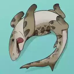 SharkpupsSpack