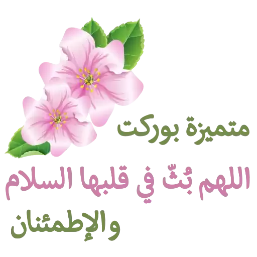 Shooo_3