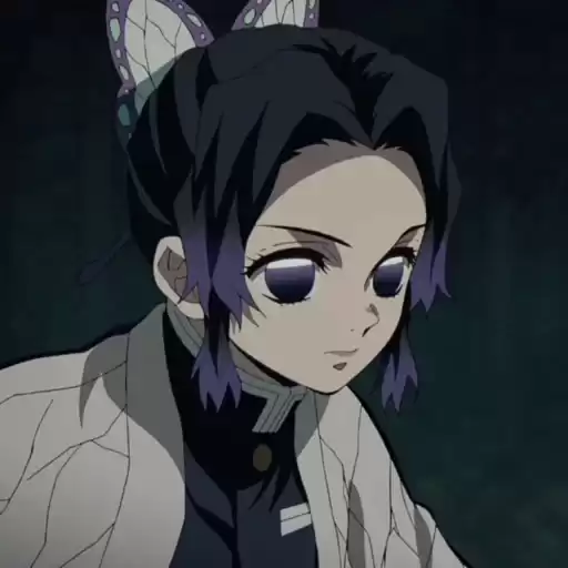 Sinobukocho