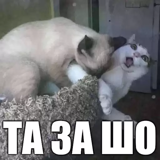 Slavakitam