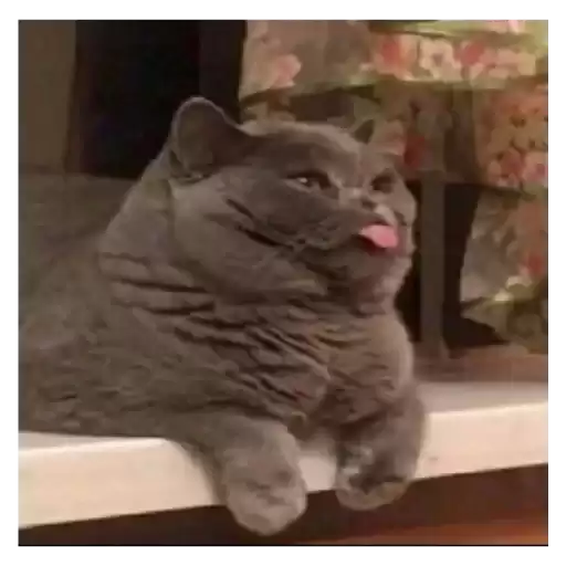 Stikery4
