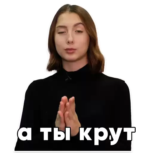 Stydentik