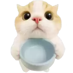Super_cat_Nyasticks
