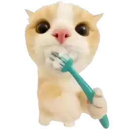 Super_cat_Nyasticks