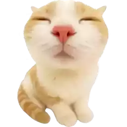 Super_cat_Nyasticks
