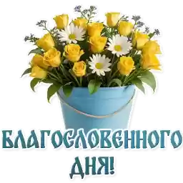 SvProstotaXB