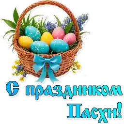 SvProstotaXB