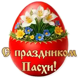 SvProstotaXB