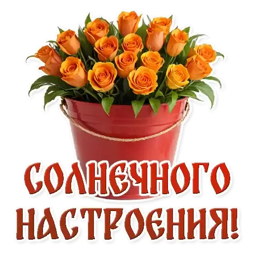 SvProstotaXB