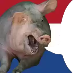 SvinoSotnya