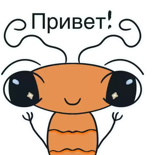 Sweet_krevetka