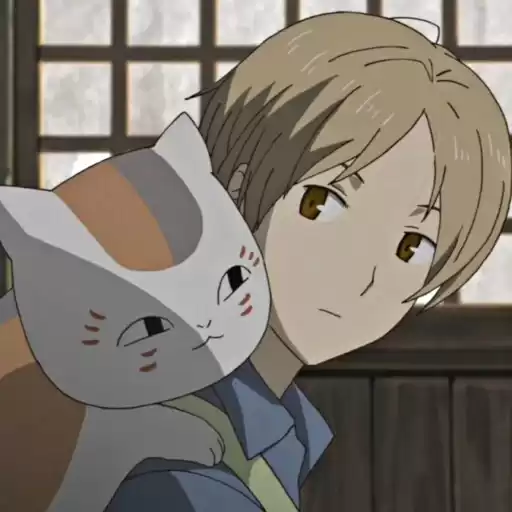 TAKANATSUME_DTRVS
