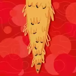 TNT_Sokrovishcha_2
