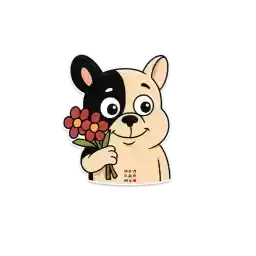 TestBobby