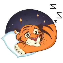 TigerTom
