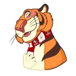 TigerTom