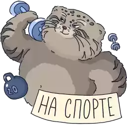 Timofey_MN