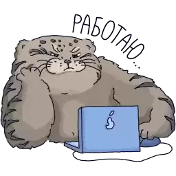 Timofey_MN