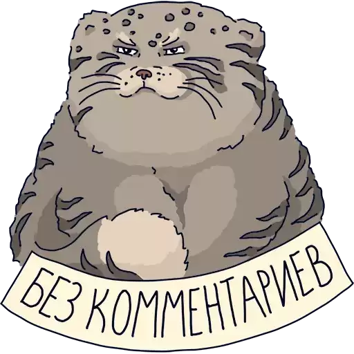 Timofey_MN