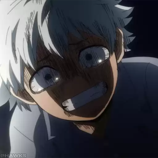 Touya_Todoroki